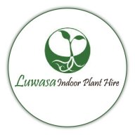 Luwasa Indoor Plant Hire